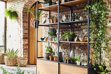 Comment créer un jardin d'intérieur dans les petits espaces?